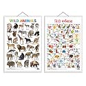 Set of 2 Wild Animals and Hindi Varnamala Early Learning Educational Charts for Kids | 20"X30" inch |Non-Tearable and Waterproof | Double Sided Laminated | Perfect for Homeschooling, Kindergarten and Nursery Students