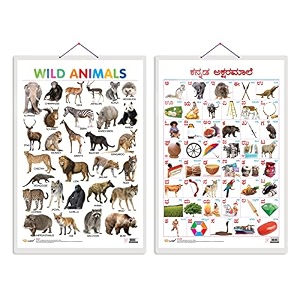 set of 2 wild animals and kannada alphabet early learning educational charts for kids  2034x3034 inch non-tearable and waterproof  double sided  kindergarten and nursery students
