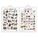 Set of 2 Wild Animals and Kannada Alphabet Early Learning Educational Charts for Kids | 20"X30" inch |Non-Tearable and Waterproof | Double Sided ... Kindergarten and Nursery Students