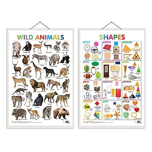 set of 2 wild animals and shapes early learning educational charts for kids  2034x3034 inch non-tearable and waterproof  double sided laminated   kindergarten and nursery students