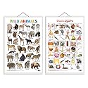 Set of 2 Wild Animals and Telugu Alphabet (Telugu) Early Learning Educational Charts for Kids | 20"X30" inch |Non-Tearable and Waterproof | Double ... Kindergarten and Nursery Students
