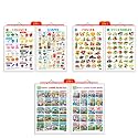Set of 3 |2 IN 1 COLOURS AND SHAPES, 2 IN 1 FRUITS AND VEGETABLES2 IN 1 BENNY LEARNS TO RECYCLE AND BENNY TEACHES TO SAVE WATER Early Learning Educational Charts for Kids | 20"X30" inch |Non-Tearable and Waterproof | 