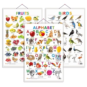 set of 3 alphabet fruits and birds early learning educational charts for kids  2034x3034 inch non-tearable and waterproof  double sided laminated  perfect for homeschooling kindergarten and nursery students