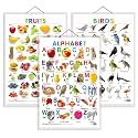 Set of 3 Alphabet, Fruits and Birds Early Learning Educational Charts for Kids | 20"X30" inch |Non-Tearable and Waterproof | Double Sided Laminated | Perfect for Homeschooling, Kindergarten and Nursery Students