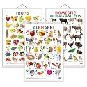 Set of 3 Alphabet, Fruits and Domestic Animals and Pets Early Learning Educational Charts for Kids | 20"X30" inch |Non-Tearable and Waterproof | Double Sided Laminated | Perfect for Homeschooling, Kindergarten and Nur