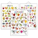 Set of 3 Alphabet, Fruits and Flowers Early Learning Educational Charts for Kids | 20"X30" inch |Non-Tearable and Waterproof | Double Sided Laminated | Perfect for Homeschooling, Kindergarten and Nursery Students