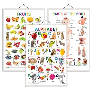 set of 3 alphabet fruits and parts of the body early learning educational charts for kids  2034x3034 inch non-tearable and waterproof  double sided laminated  perfect for homeschooling kindergarten and nursery students