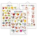 Set of 3 Alphabet, Fruits and Parts of the Body Early Learning Educational Charts for Kids | 20"X30" inch |Non-Tearable and Waterproof | Double Sided Laminated | Perfect for Homeschooling, Kindergarten and Nursery Stu