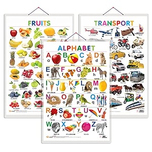 set of 3 alphabet fruits and transport early learning educational charts for kids  2034x3034 inch non-tearable and waterproof  double sided laminated  perfect for homeschooling kindergarten and nursery students