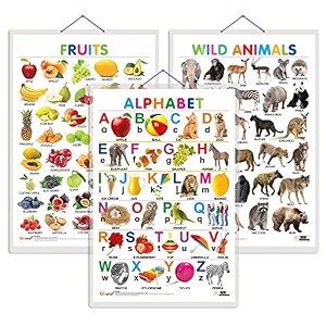 set of 3 alphabet fruits and wild animals early learning educational charts for kids  2034x3034 inch non-tearable and waterproof  double sided laminated  perfect for homeschooling kindergarten and nursery students