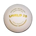SG Leather Cricket Balls Shield 20 (White)