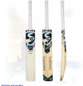 SG RSD Spark Kashmir Willow Cricket Bat
