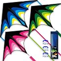 SGftre Delta Kite Easy to Fly,Single Line String with Tail for Beach Flying Kites for Kids and Adults Kites Outdoor Trip Park Family Game (Skyward Prairie 3-Piece Set)