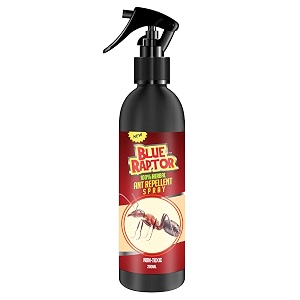 blue raptor herbal ant repellent spray for home kitchen bedroom outdoor  baby-safe pet-friendly  effective on red amp black ant repellent small amp large  pack of 1 200ml - formulation 2x