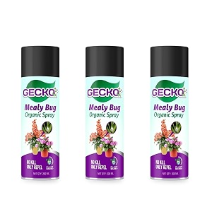 shadow securitronics mealy bug repellent spray natural vegan amp eco-friendly  100 herbal and chemical free  indoor amp outdoor plants  helps in plant growth  pack of 3 - formulation 10x