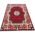 Shag Area Rug 5x7 Feet | 1 Inch Thick Soft Carpet for Living Room &amp; Bedroom | Anti-Slip Backing | Durable, Fluffy &amp; Easy-Care Home Decor Rug