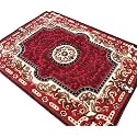 Shag Area Rug 6x8 Feet | 1 Inch Thick Soft Carpet for Living Room &amp; Bedroom | Anti-Slip Backing | Durable, Fluffy &amp; Easy-Care Home Decor Rug