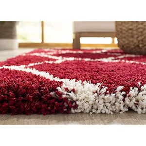 Shaggy Area Rug for Living Room and