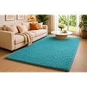 Shaggy Carpet 3x5 Ft for Living Room