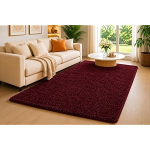 Shaggy Carpet 4x6 Ft for Living Room
