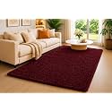 Shaggy Carpet 4x6 Ft for Living Room