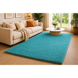 Shaggy Carpet 5x7 Ft for Living Room