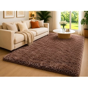 Shaggy Carpet 5x7 Ft for Living Room