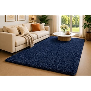 Shaggy Carpet 5x7 Ft for Living Room