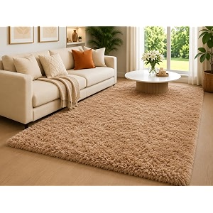 Shaggy Carpet 5x7 Ft for Living Room