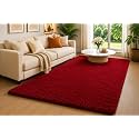 Shaggy Carpet 5x7 Ft for Living Room