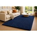 Shaggy Carpet 5x8 Ft for Living Room
