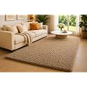 Shaggy Carpet 6x9 Ft for Living Room