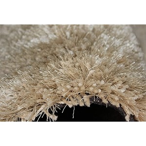 Shaggy Carpet for Home 2 x 6