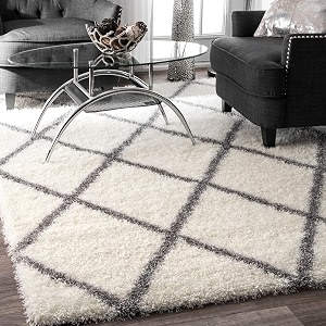 Shaggy Carpet for Home 2 x 6