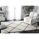 Shaggy Carpet for Home 8X10 FEET Ultra-Soft