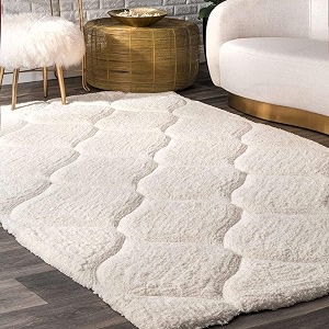 Shaggy Carpet for Living Room 5X7 FEET