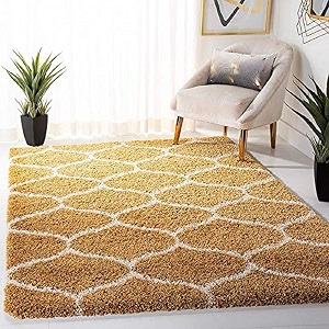 Shaggy Carpet for Living Room 6X9 FEET