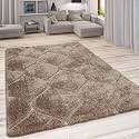 Shaggy Carpet for Living Room 6X9 FEET