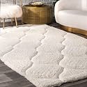 Shaggy Carpet for Living Room 8X11 FEET