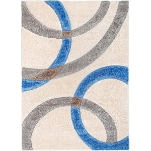 Shaggy Rugs 10 x 13 Feet Soft