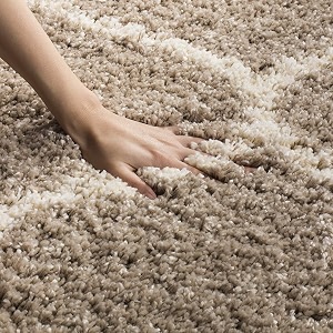 Shaggy Rugs 12 x 15 Feet Soft