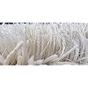 Shaggy Rugs 8X10 FEET Soft and Cozy