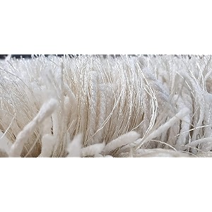 Shaggy Rugs 8X11 FEET Soft and Cozy
