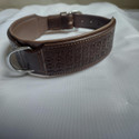 shagul leather dog collar all breeds64 cm-2INCH