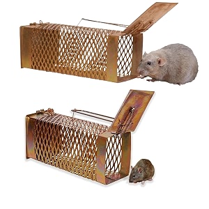 wooden rat trap  humane live catch amp release mousetrap  durable eco-friendly cage for indoor amp outdoor use rat trap combo