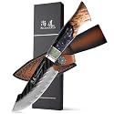 SHANGDAO Damascus Utility Knife 4.8 Inch Fruit Knife with Leather Sheath 67 Layers Alloy Steel Peeling Cutter - Hand Forged Resin & Wood Handle QILIN Series