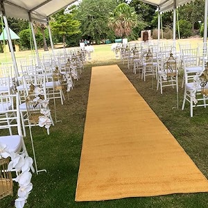 Shanno Carpet Green Carpet Plain Microfiber Hall