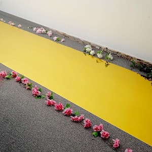 Shanno Carpet Green Carpet Plain Microfiber Hall