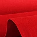 Shanno Carpet for Wedding Stage Exhibition Party