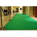 Shanno Carpet for Wedding Stage Exhibition Party